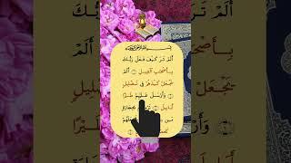 surah al feel #tilawati354 #quranrecitation #tilawat #qurantilawat