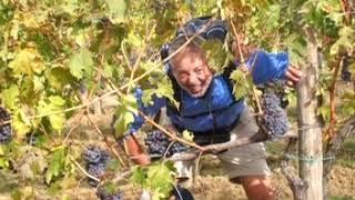 Tuscany Walk 2004