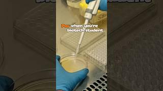 Biotech student LAB WORK #biotech #biotechnology