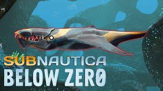 Brute Shark - Subnautica: Below Zero