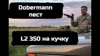 Смотрю кучки пистолета доберман и л2, что на продаже.