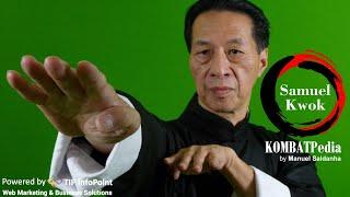 BEST EVER of Samuel Kwok - Wing Chun