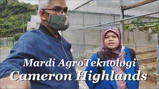 Cantik2 Bunga di Mardi Agroteknologi Cameron Highlands upgrade video resolution