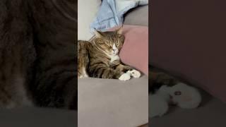 Я в новогодние праздники С НОВЫМ ГОДОМ, ДРУЗЬЯ!