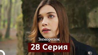 Зимородок 28 Cерия (Русский дубляж)