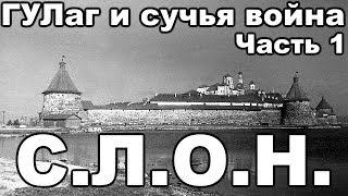 Соловецкий лагерь особого назначения (С.Л.О.Н.). С чего начинался ГУЛаг