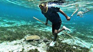 catch octopus in the sea wakatobi