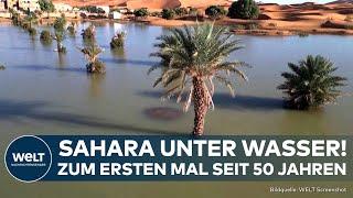 MAROKKO: "Die Wüste lebt!" Beeindruckende Bilder! Nach 50 Jahren wieder Wasser in der Sahara!