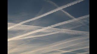 David Icke-Chemtrails und Morgellons