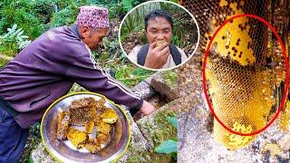 Nati & Jungleman hunting honey II Honey hunting in Jungle Nepal@AloneAdhirajnepal