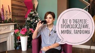 Тубероза: почему она была запрещена? Происхождение, мифы и парфюмы с ее ароматом.