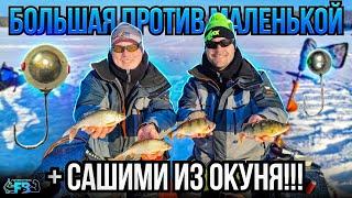 Маленькая мормышка против большой! Что выберет рыба? + Секретный рецепт сашими из Окуня!!!