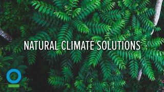 Natural Climate Solutions