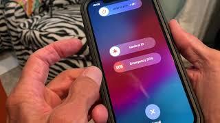 How to Force Restart an iPhone 12 Pro max with a frozen screen