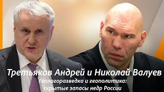 Nikolay Valuyev and Andrey Tretyakov. Exploration and geopolitics: Russia's hidden mineral reserves