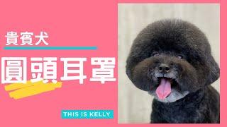 貴賓犬圓頭耳罩造型｜凱莉老師 Groomer Kelly｜寵物美容教學｜Poodle Pet Grooming