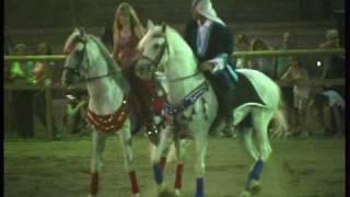 WESTERN HORSE SHOW