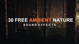 30 Free Ambient Nature Sound Effects | Cinematic Nature Sound Effects