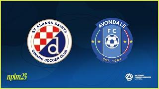 2025 NPLMVIC Round 5: St Albans Saints SC v Avondale FC