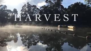 COR Youth: HARVEST Camp 2018