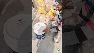 DAMP PROOF ADVANCED 10 YEARS WARRANTY PRIMER Backet open Asian paint #shorts #viral #painting #art