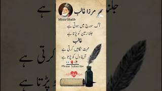 Mirza Ghalib Poetry Sad | Laiba Urdu Poetry #mirzaghalibpoetry #mirzaghalib #poetry #shorts #quotes
