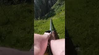 Nearly Falling Off an Alpine Roller Coaster - Wally Blitz #summeronshorts