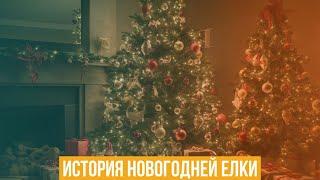 История новогодней елки