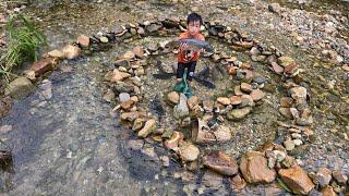 fish trap, how to arrange rocks to make a fish trap, highland boy khai traps stream fish for sale