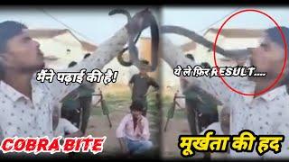 COBRA BITE। मूर्खता की हद।। ACTION AND REACTION। VENOMOUS SNAKE।