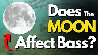 Does the Moon Affect Bass Fishing? (Things to Think About)