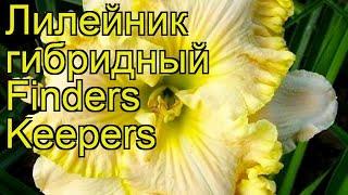 Лилейник гибридный Файндерс Киперс. Краткий обзор, описание hemerocallis Finders Keepers