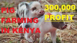 Starting a Profitable Pig Farm in Kenya: Complete Guide & Budget Breakdown