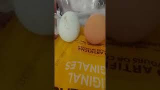 eggy dies :(