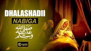 Dhalashadii Nabiga iyo Barbaarintiisa ﷺ | The Birth of Prophet Muhammad (pbuh)