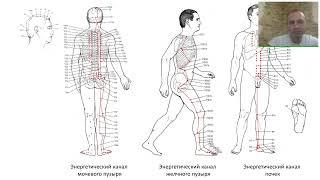 почки мочевой пузырь на важные примечания меридианов говорит профессор Александр брокер