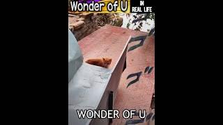 Wonder of U in Real Life