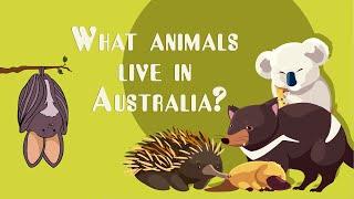 Australian Animals! Our Big Video of Animals in Australia for Kids! Names and Sounds!