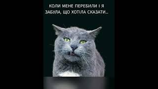 Коли тебе перебили і ти забув, що хотів сказати. Український хостинг: S-HOST.COM.UA/U326 #мем #жиза