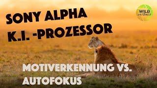 K.I.-Prozessor vs. Autofokus - Die Aufklärung für Fotografen