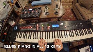 Blues Piano Lesson | All 12 Keys #music #piano #blues #lesson #pianolessons #bluespiano