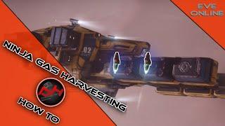 Ninja Gas Harvesting : How To | EVE Online