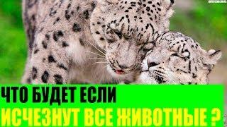 Что будет если исчезнут все животные?