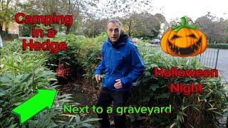 Halloween Special ,Camping in a Hedge