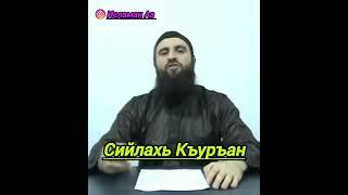 Сийлахь Къуръан. Шайх Шо1ип