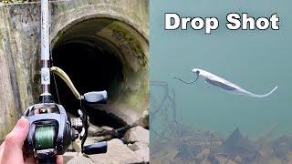 WINTER FISHING MADNESS!!! (Underwater Drop Shotting)