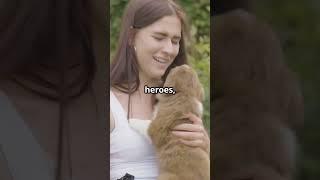 Paw-sitively adorable!  #love #pets #dog #dogs #viral #viralvideo #subscribe #cats #funny #fun