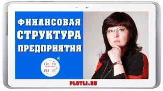 Финансовая структура предприятия [Система ПЛОТЛИ. Управление Финансами]