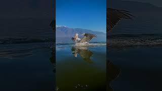 beautiful earth  amazing