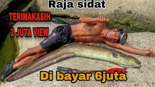 menembak sidat terbesar di taiwan||langsung di bayar 6 juta || biggest eel fish